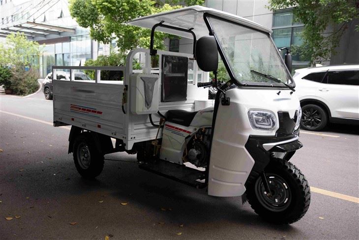 Gasoline Cargo Tricycle factory