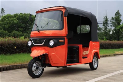 3 גלגלים תלת מימדי לחשמל לנוסע